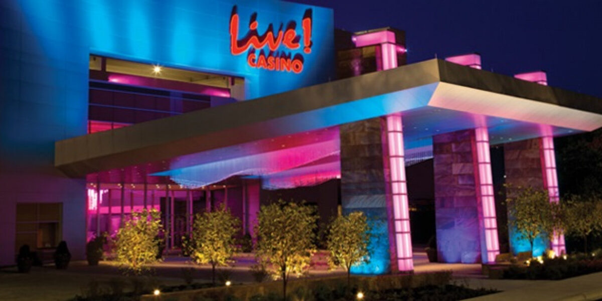 Live Casino Live Casino